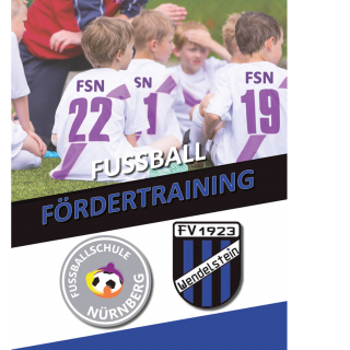 FV Wendelstein geht im Jugendfußball neue Wege