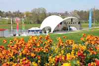 csm IMG 8466 e08d0591b7a