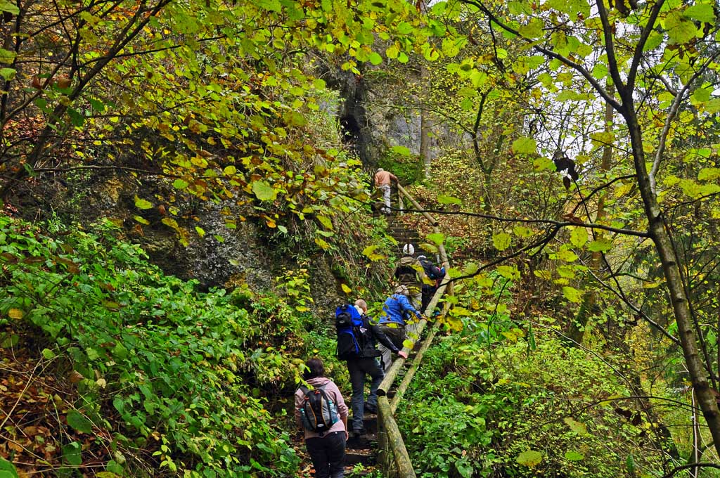 2015 10 24 5784 033 unter weiterlesen a