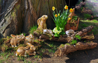 2017 04 01 1590 Hasen ohne Ton a